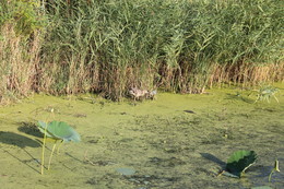 Erwartung / ***