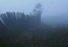  / ***