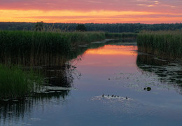 Der Verlauf der Sonnenuntergang / Sony DSC HX300