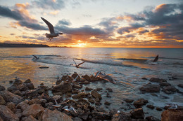 Abendstimmung am Meer / ***