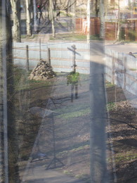 &nbsp; / [img]https://pp.userapi.com/c845020/v845020376/2c79b/jz_W6Lt3YZU.jpg[/img]