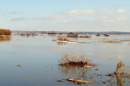 Hohe Wasser / ***