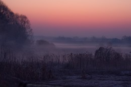 Nebel / Pentax KX, Takumar 28-80, ISO 800, 80mm, 1/250