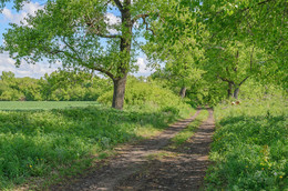 Frühlingsstraße / ***