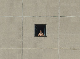 Fenster / ***