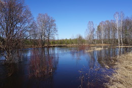 Hohe Wasser / ***