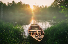 Foggy Sonnenuntergang / ***