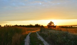 Straße auf die Sonne ... / ***