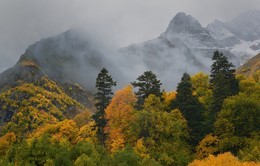 Herbst / ***