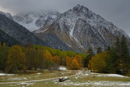 Herbst in den Bergen / ***
