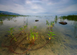 Kinneret / ***