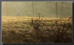 Morgentau / ***