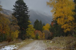 Herbst in den Bergen / ***