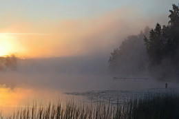 Morgendämmerung / ***