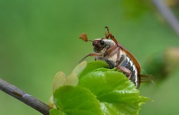 Hallo Fotografen! / ***