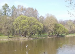 Der Frühling kommt / ***