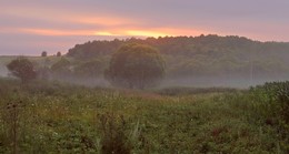 Morgennebel / ***