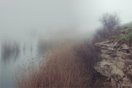 Frühlings-regen / ***