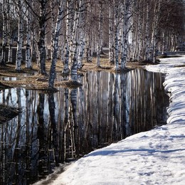 &nbsp; / music: Charles Mingus - Self-Portrait in Three Colors
https://www.youtube.com/watch?v=40A2fVak1yQ