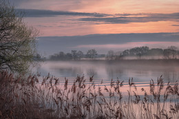 nebligen Morgengrauen / ***