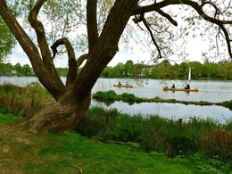 &nbsp; / Alster Hamburg