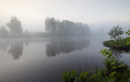 Frühling Reflexion / ***