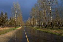 Regen im Mai / ***