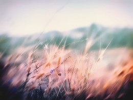 &nbsp; / https://www.youtube.com/watch?v=Ta11iuAWEBY