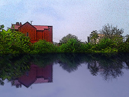 Überwachsen Strand / ***