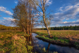 Frühlingslandschaft / ***