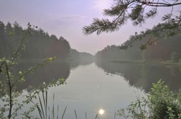 Nebel nach dem regen / ***