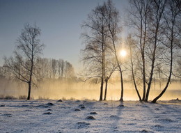 Mai Morgen / ***