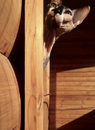 es / https://m.youtube.com/watch?v=d0YBaQDj7-c