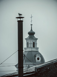 bird on the pipe / No comments.
