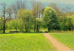 wenn die Kirschblüte / ***