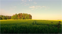 in den frühen Morgenstunden / ***