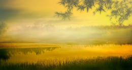 Nebligen Morgen ... / ***