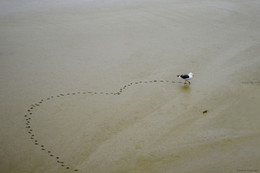 Noch einmal über die Liebe / ***