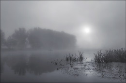 durch Nebel dominiert / ***