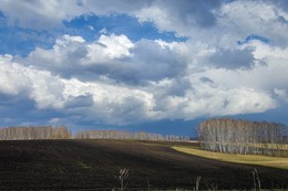 Frühling Acker / ***