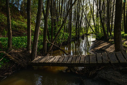 Brücke / ***