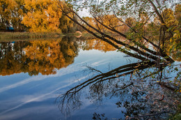 Herbst / ***