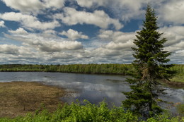 Am Teich / ***