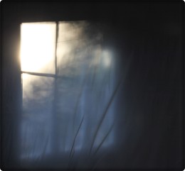 &nbsp; / That fleeting glimpse...