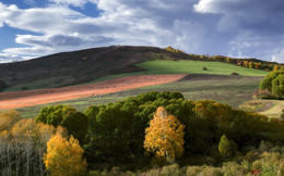 Herbst-Feld / ***