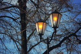 Weitere Artikel / ***