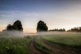Im Frühsommer / ***