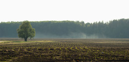 Frühlingslandschaft / ____