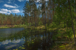 in diesem Sommer ... / ***