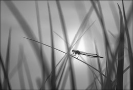 Während alle schlafen ... / ***